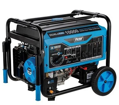 Pulsar 10,000 Watt Dual Fuels Portables Generator PG10000BRCO - Image 1