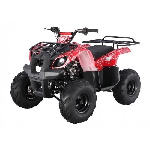 Tao Motors D125 Kids ATVs - Image 1