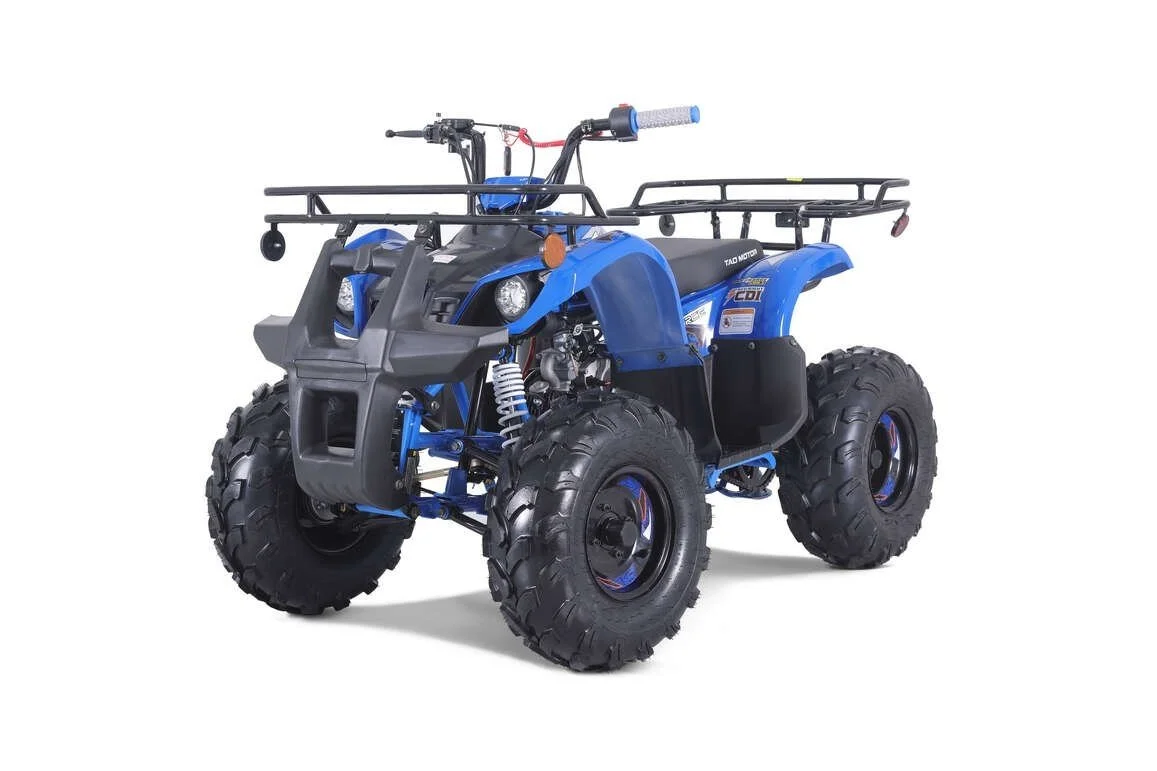 TaoTao T-Force T125 4-Wheeler All-Terraiin Vehicle ATV - Image 1